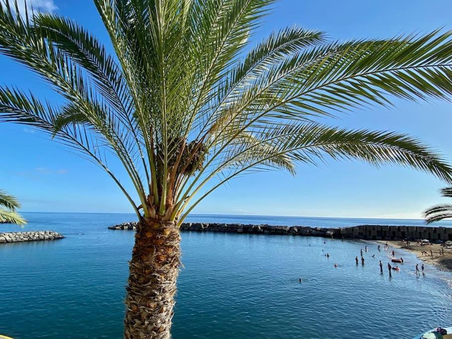 The Vibe Madeira 2 Arco da Calheta (Madeira)